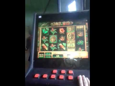 casino Jackpot 20000