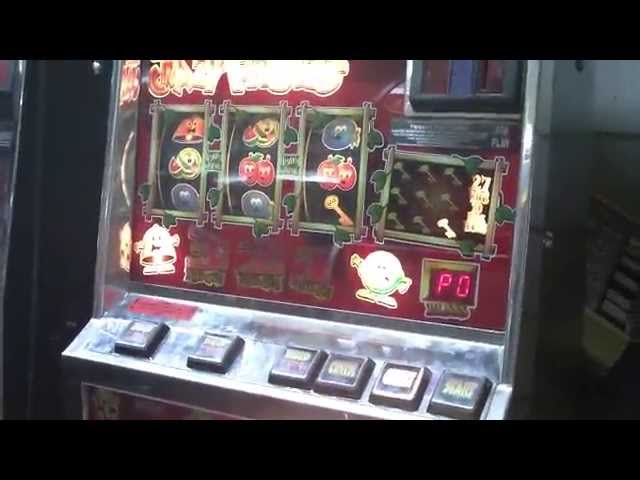 casino app erstellen