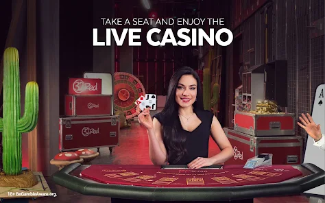 no deposit bonus for cool cat casino